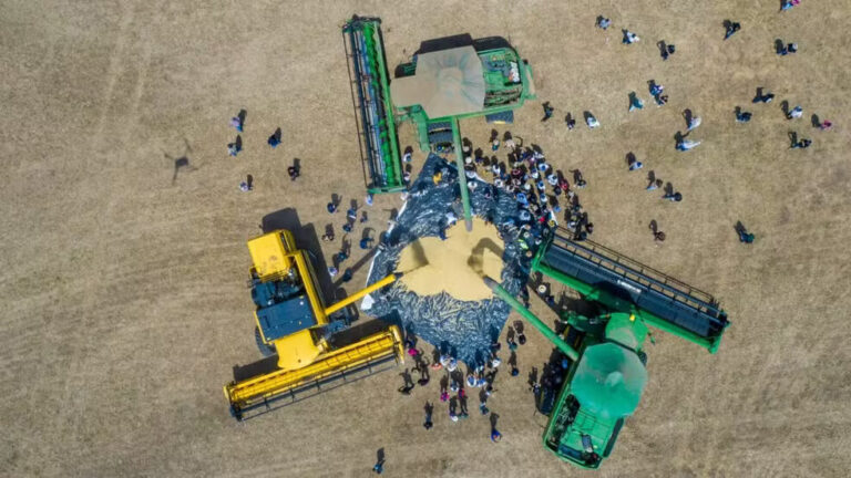 Colheita da Soja: mais de R$ 900 milhões devem ser movimentados em Roraima em 2025