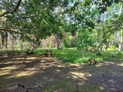 sistemas agroflorestais