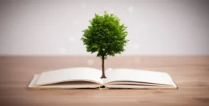 educação é ferramenta de desenvolvimento na amazônia