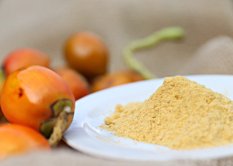 Tecnologia social transforma farinhas artesanais da Amazônia em produto de mercado