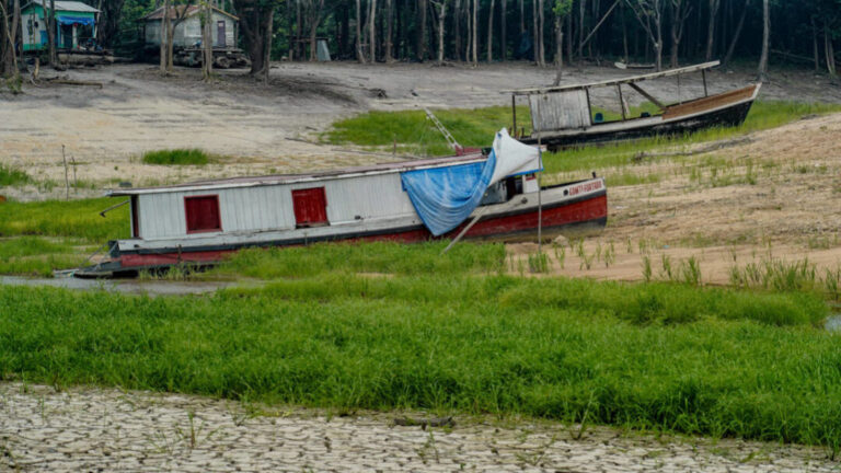 Ciclos da água têm impacto direto na segurança alimentar de comunidades ribeirinhas da Amazônia