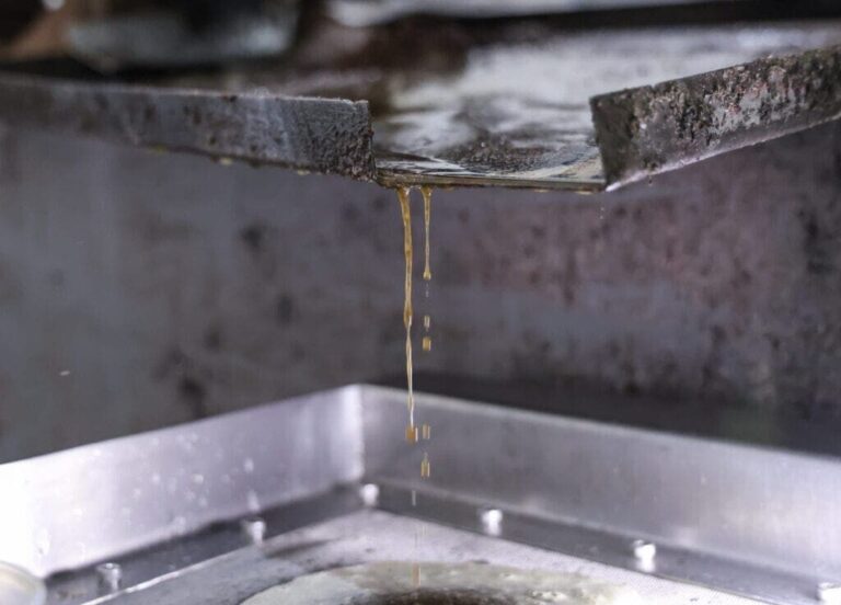 Óleo de Murumuru do Acre conquista o mercado nacional com bioeconomia e cooperativismo