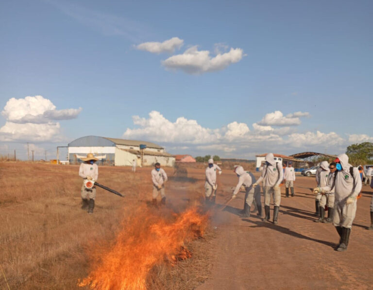 Período de seca intensa acende alerta para incêndios florestais na Amazônia e Cerrado