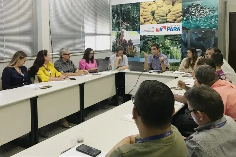 Grupo de Trabalho realiza primeira reunião para criação do Fundo Açaí no Pará