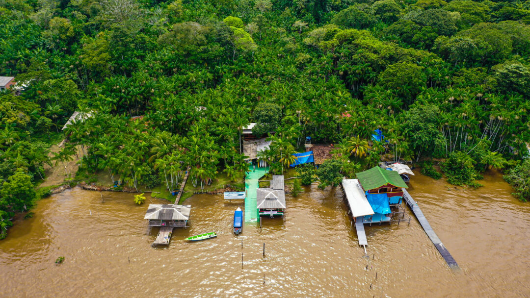 projeto na ilha do combu pará