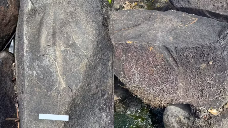 Arqueólogos identificam vestígios de oficina indígena milenar no Amapá