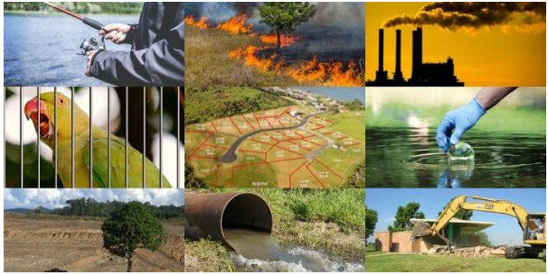 exemplos de infrações ambientais em porto velho