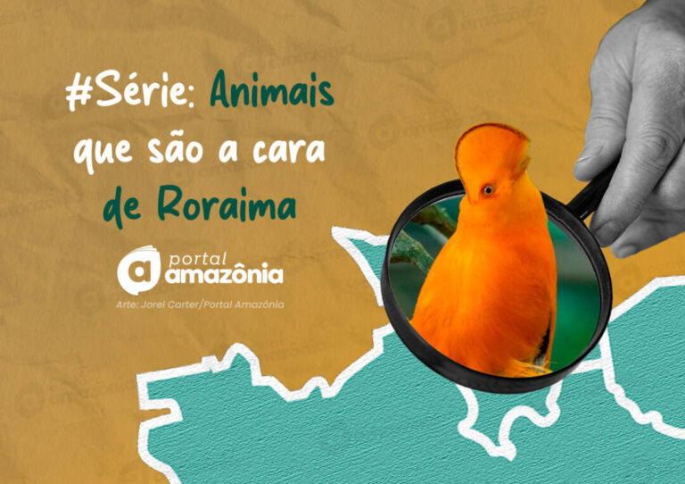 #Série l A cara da Amazônia: 5 animais que são a cara de Roraima