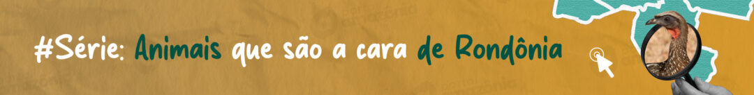 O atributo alt desta imagem está vazio. O nome do arquivo é tag-serie-animal-amazonas.jpg