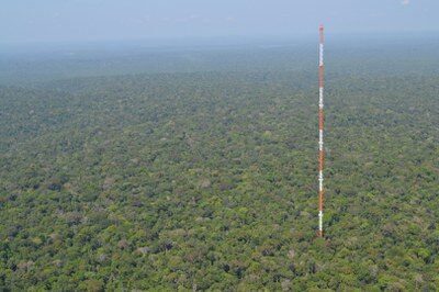 4 INCTs do Inpa aprovados para desenvolver pesquisas e soluções para desafios da Amazônia