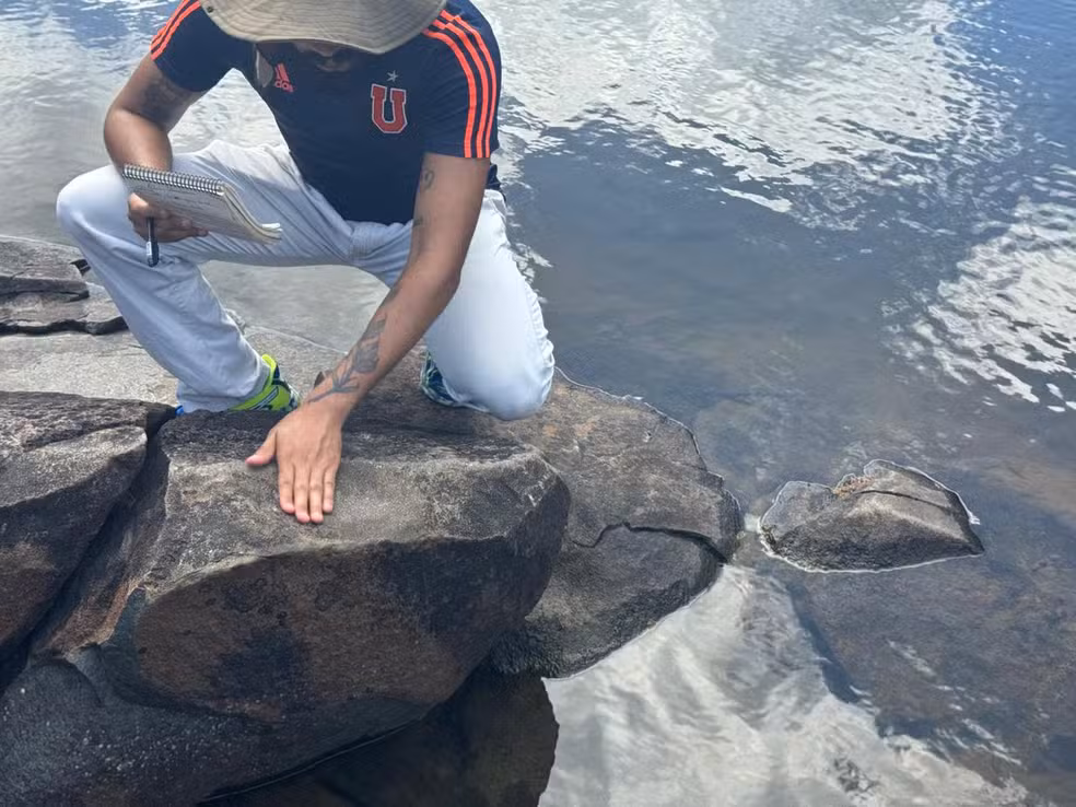 arqueólogos estudam achado no amapá