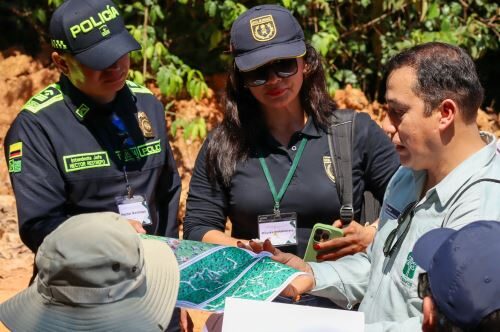 combate à exploração de florestas amazônicas - peru