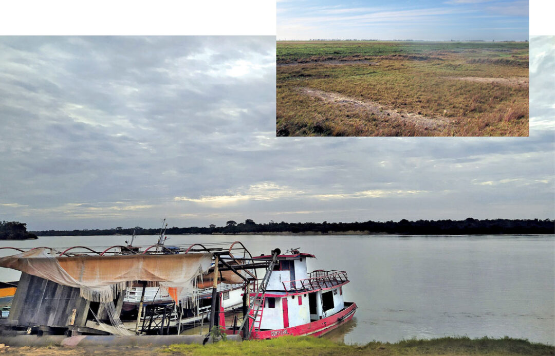 O rio Branco (na foto maior), em Caracaraí (RR), avolumou-se ao ganhar as águas do Essequibo, deixando vestígios de um antigo rio nos limites das duas bacias (no destaque). Fotos: Tulio F /Wikimedia e André Salgado/UFG