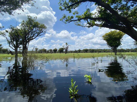 áreas alagáveis na Amazônia