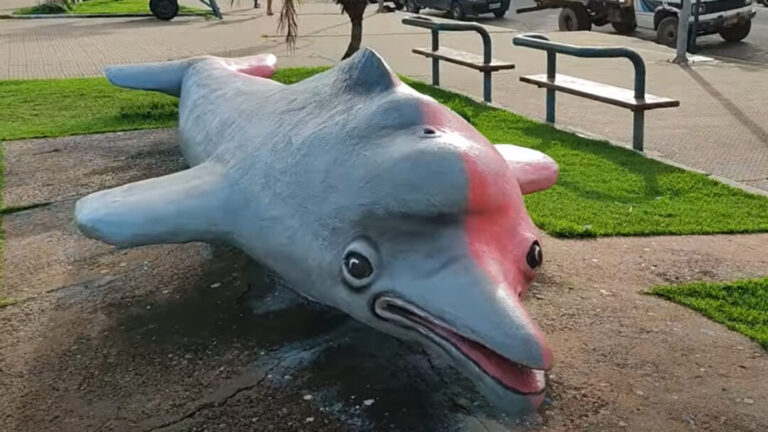 Orla de Santarém é espaço de divulgação de arte e ganha destaque entre visitantes