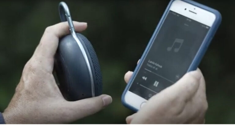 Psicologia dos pássaros: técnicas de observação e cuidados no uso do playback