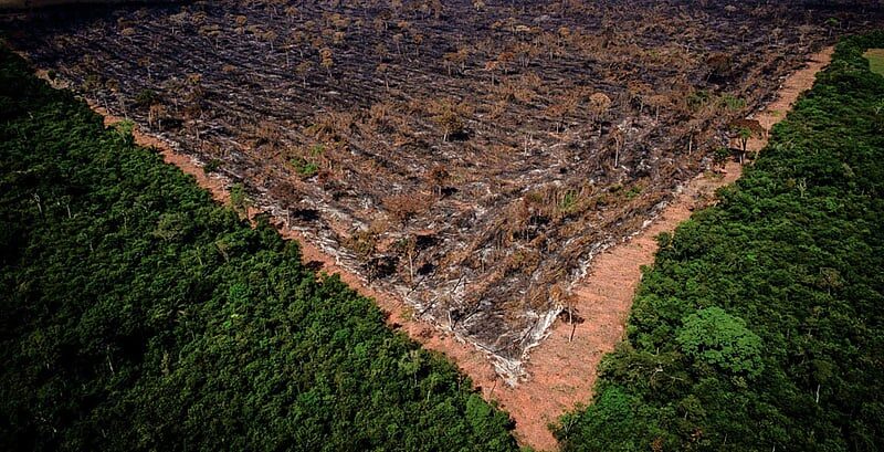Área desmatada da Floresta Amazônica - Amazônia - Mato Grosso
