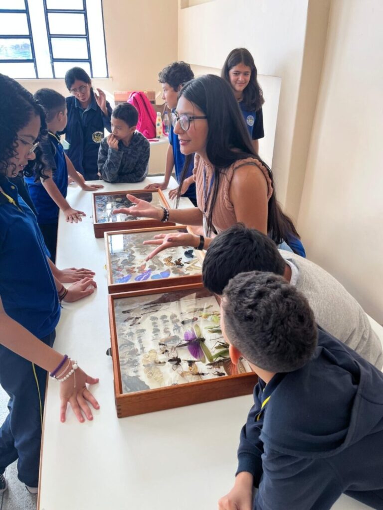 Pesquisa busca identificar diversidade de moscas amazônicas em coleções científicas do Brasil e do Peru