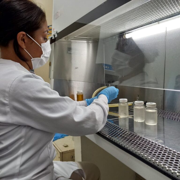 Pesquisa avalia espécies de cândida na rede de esgoto hospitalar em Manaus