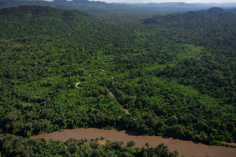 Editais são lançados pelo governo federal para restaurar áreas no Arco do Desmatamento: R$ 79 milhões