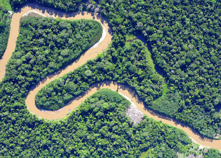 Pacto em defesa do Código Florestal une conservação e produção agrícola