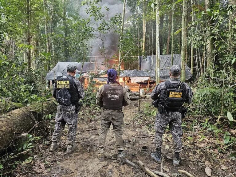 Ministro da Justiça e Segurança Pública autoriza uso da Força Nacional para combate a crimes na Amazônia