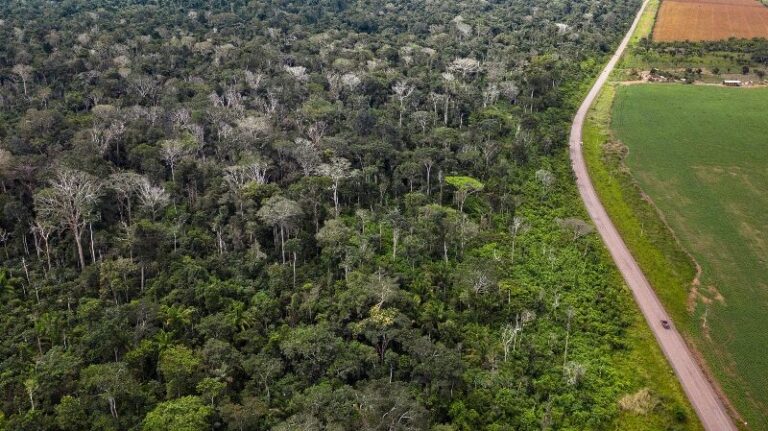 Embrapa: severa crise financeira alcança eixo indutor da revolução verde no Brasil