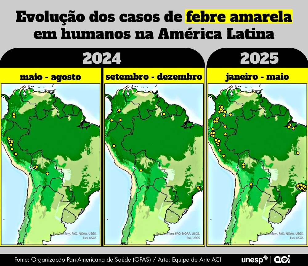 casos de Febre Amarela no Brasil 