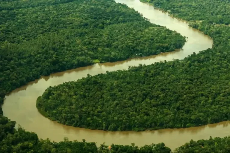 Belém recebe primeiro evento no Brasil sobre a Missão Biomass da Agência Espacial Europeia