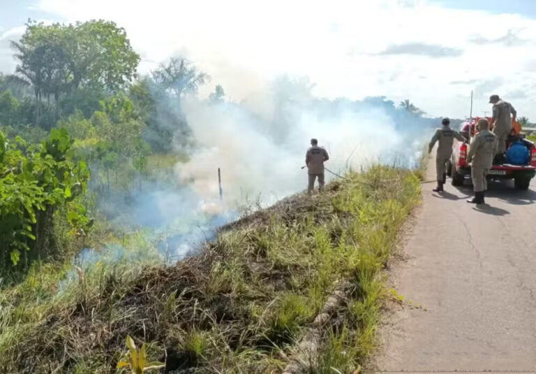 Número de focos de incêndio no Amapá cai 52% em relação a 2024, segundo Corpo de Bombeiros