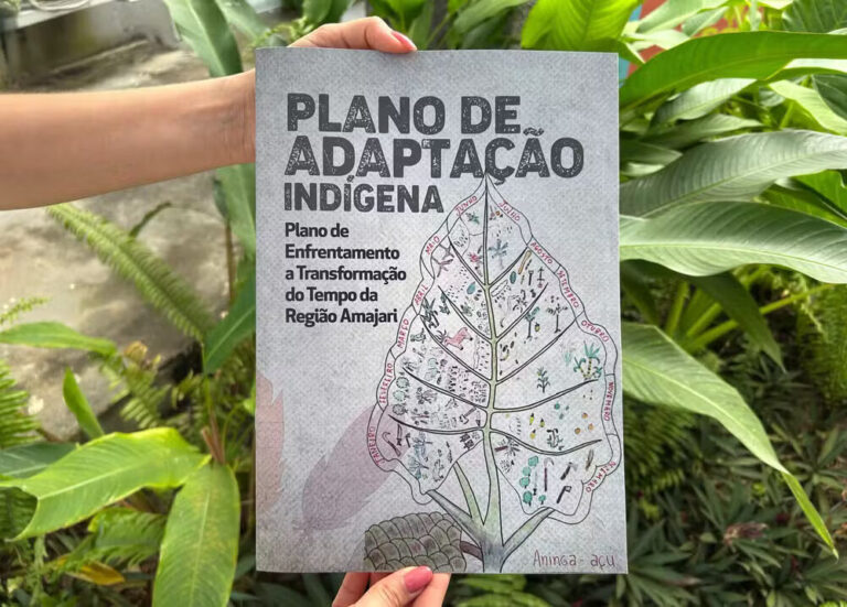Indígenas de Roraima criam plano inédito contra crise climática como modelo para outros países