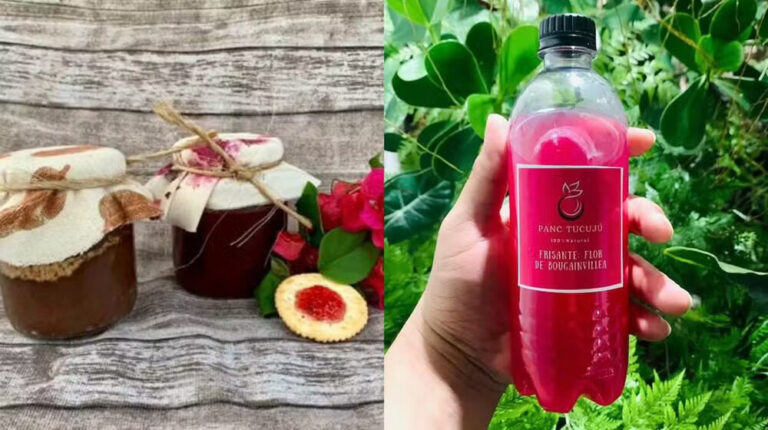 De flores a plantas medicinais: PANC da Amazônia viram ingredientes em refeições alternativas no Amapá