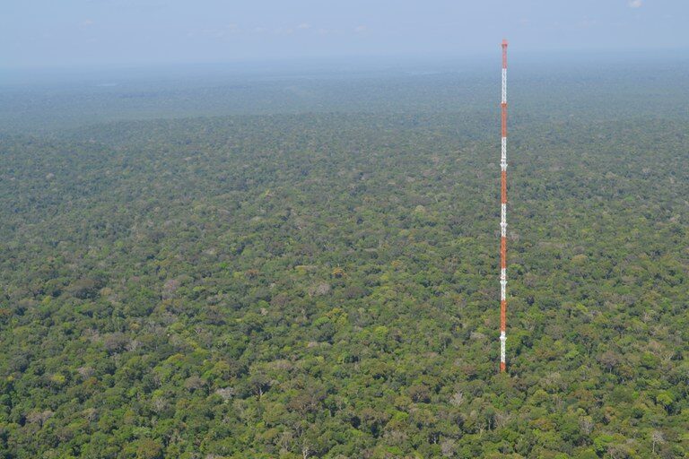 Projeto ATTO completa dez anos da maior torre de monitoramento climático do mundo
