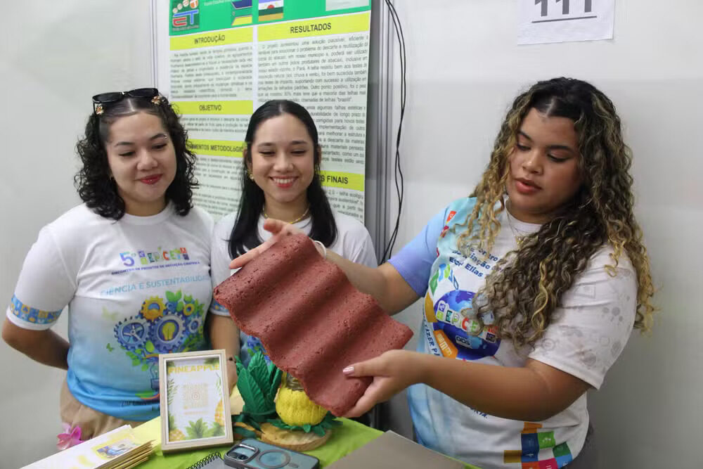 Projeto transforma resíduos de abacaxi em telhas ecológicas no Amapá. — Foto: Crystofher Andrade/g1 AP