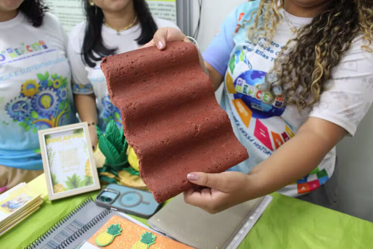 Resíduos de abacaxi são transformados em telhas ecológicas no Amapá