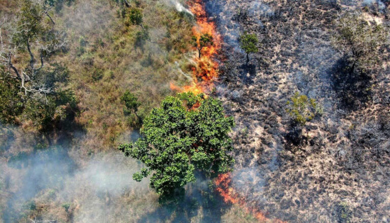 Tocantins registra queda de 28,7% na área queimada