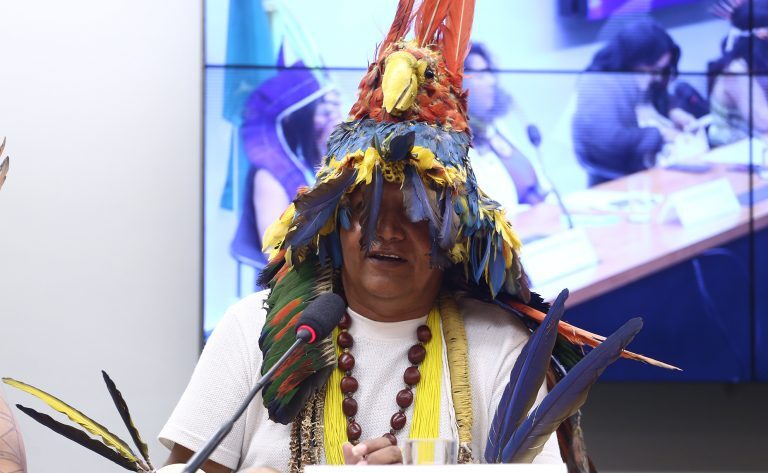 reunião focou na valorização de pajés e saberes indígenas na câmara dos deputados em 23 de setembro de 2025