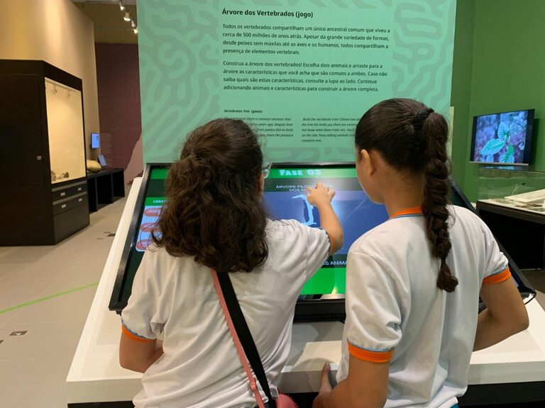 Jogo criado no Museu Paraense Emílio Goeldi ensina evolução de espécies