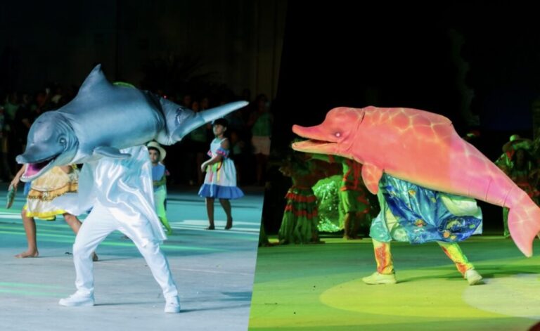 Sairé 2025: os Botos do Amanhã e a infância que dança o futuro de Alter do Chão