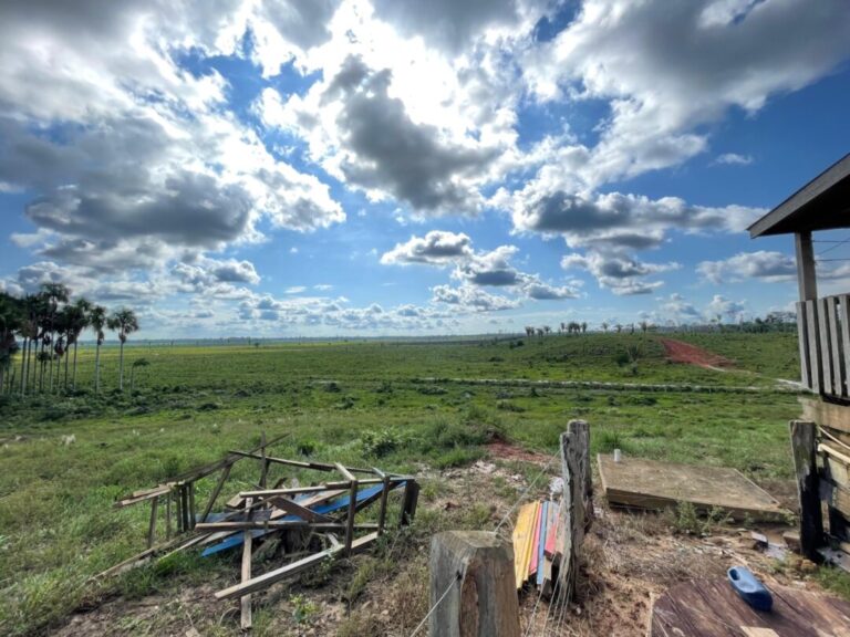 Levantamento da Fiocruz Amazônia indica infecção recente de febre Oropouche em parte da população ao longo da BR-319