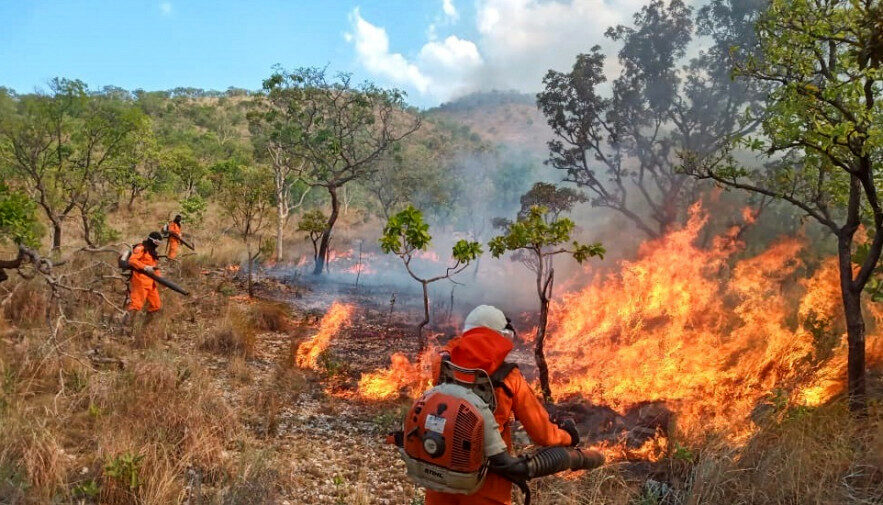 imagem colorida mostra bombeiros combatendo fogo em área de queimada no tocantins