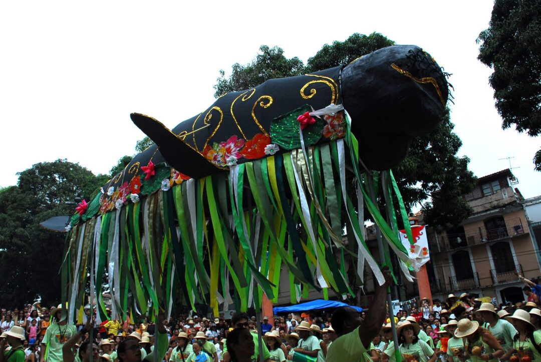 cordao do peixe boi pará 1