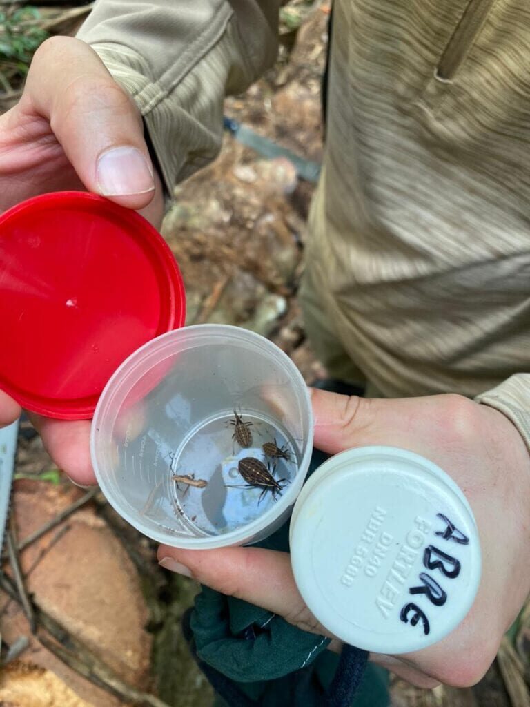 Pesquisador do Acre ganha reconhecimento internacional por estudo sobre a Doença de Chagas na Amazônia