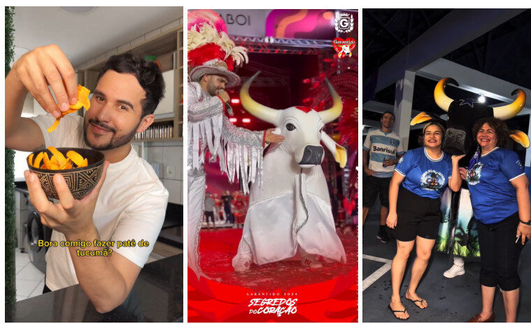 Kwai indica 4 criadores locais