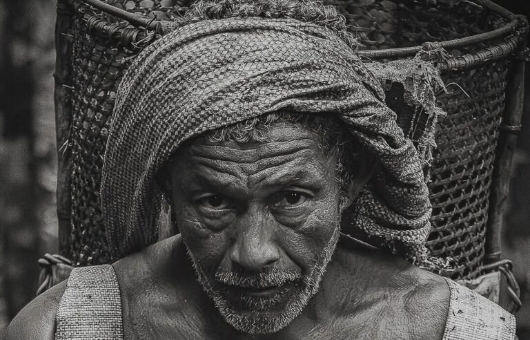 Fotografia de castanheiro na Amazônia ganha prêmio e destaque internacional