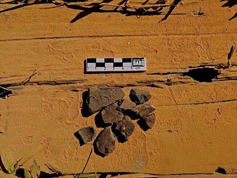 imagem colorida mostra resultado de pesquisas arqueológicas eem rodovia de rondônia