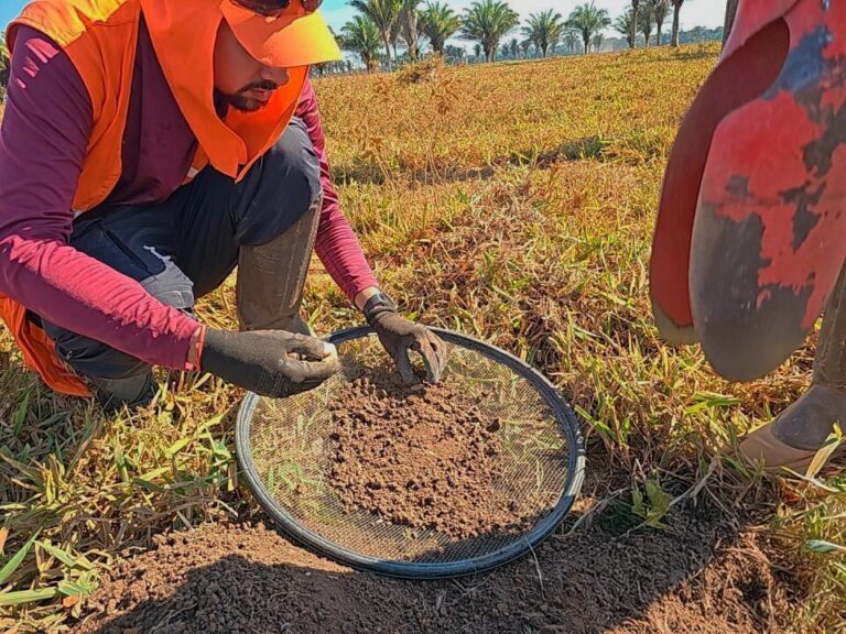 Pesquisas arqueológicas buscam garantir preservação cultural durante pavimentação da RO-420 em Rondônia