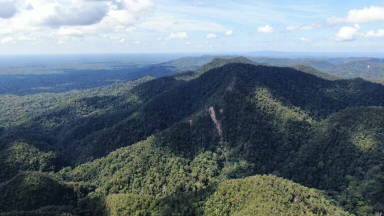 Acima das Nuvens? Saiba quais são os pontos mais altos da Amazônia Legal
