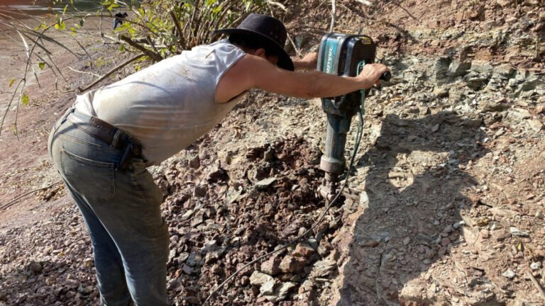 Nova espécie de dinossauro descoberta atrai expedição científica ao Maranhão