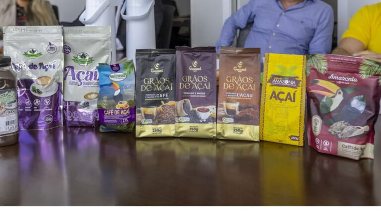 Café de Açaí tem potencial antidiabético e valor sustentável, aponta pesquisa da Ufam